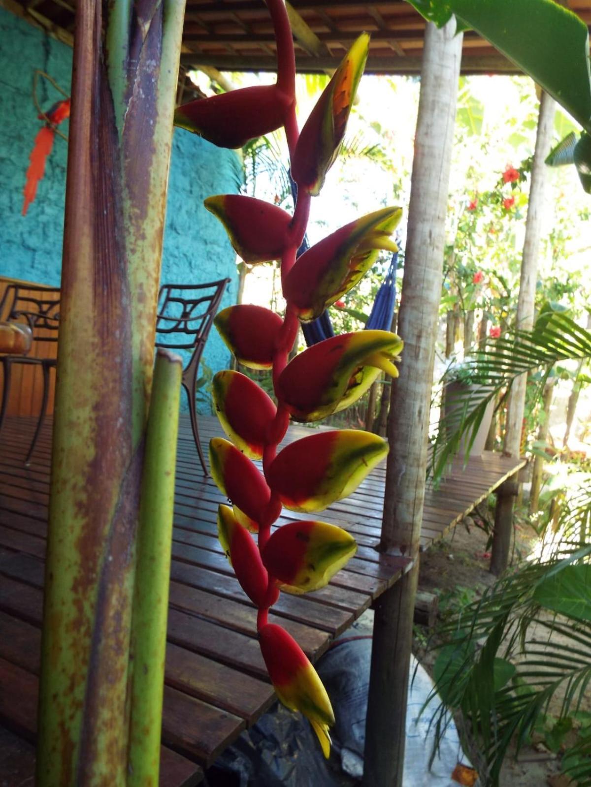 Jardim Uixa Holiday home Velha Boipeba