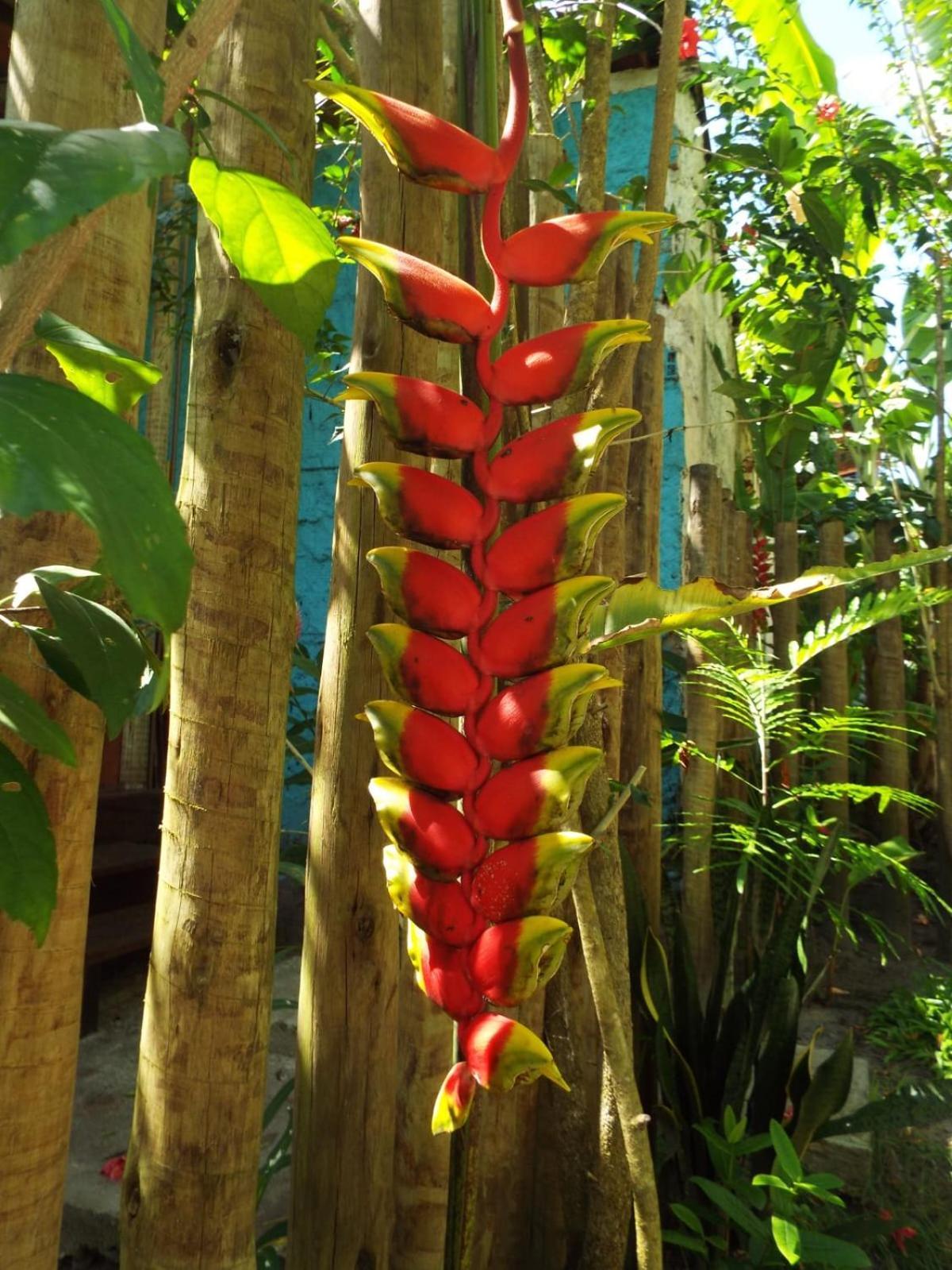 Jardim Uixa Holiday home
